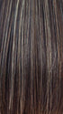 CHOCOLATE-FROST | Dark Brown Base with Honey Blonde and Platinum Highlights