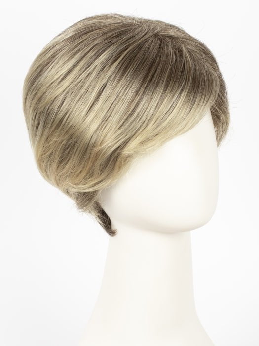 SUNNY BLONDE | Medium Ash Brown tipped with Gold Blonde highlights