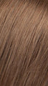 6/10T Medium Dark Brown Blended with Medium Chestnut Brown with Golden Brown Tips