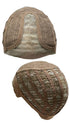 CAP CONSTRUCTION | EXTENDED LACE FRONT | MONOFILAMENT PART | WEFTED