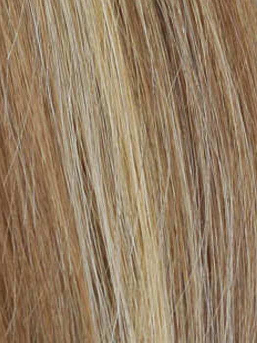 R12/26H | Light Brown with Golden Blonde Highlights
