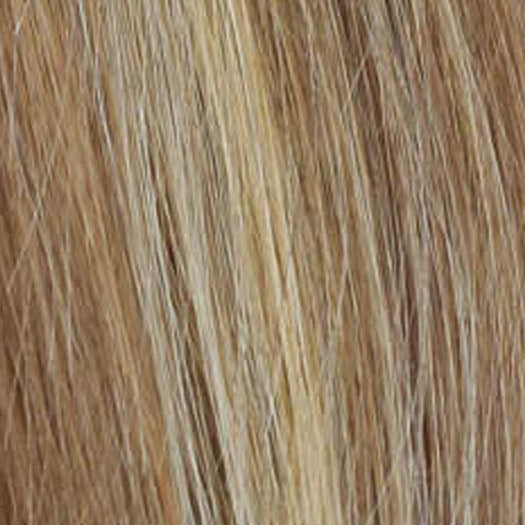 R12/26H | Light Brown with Golden Blonde Highlights