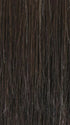 2/4R | Very Dark Brown with highlights