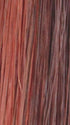 SHEER-PLUM | Dark Auburn and Bright Red blend