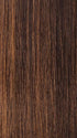 FS4/27 | 80% Medium Dark Brown with 20% Honey Blonde Frost