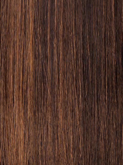 FS4/27 | 80% Medium Dark Brown with 20% Honey Blonde Frost