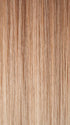 TP613/27 | Honey Blonde Highlight Streak with Platinum Blonde Tip