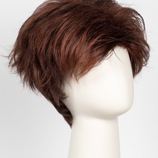 CHESTNUT | Dark and Bright Auburn Evenly Blended