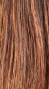 TIZIAN RED TIPPED 33.29.28 | Dark Auburn, Copper Red, and Light Copper Red Blend with Lighter Tipped Ends