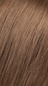 6/10T Medium Dark Brown Blended with Medium Chestnut Brown with Golden Brown Tips