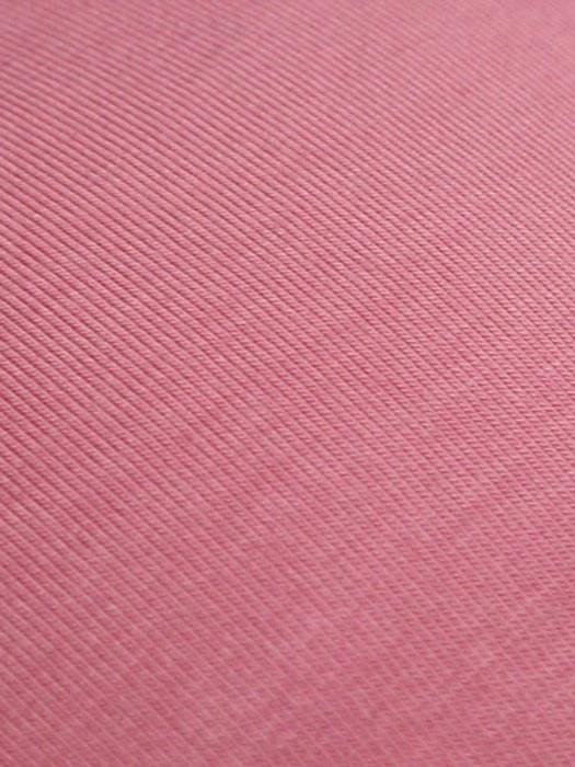 TSS-PINK-SHERBET