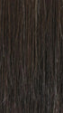 2/4R | Very Dark Brown with highlights