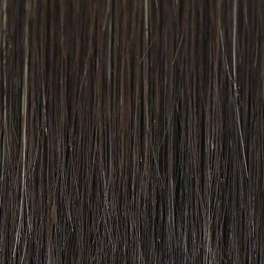2/4R | Very Dark Brown with highlights