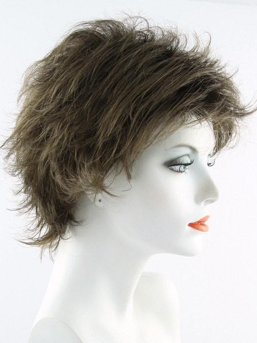 6/10T Medium Dark Brown Blended with Medium Chestnut Brown with Golden Brown Tips