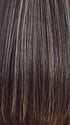 CHOCOLATE FROST R | Dark Brown Base with Honey Blonde and Platinum Highlights